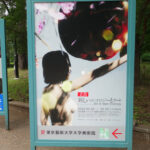 東京藝術大学大学美術館にて5/28（土）より『新しいエコロジーとアート』が開催。　上野公園　美術館・博物館　混雑情報他