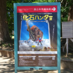 夏休み中の子供にぴったりの『化石ハンター』展が好評開催中。　上野公園　美術館・博物館　混雑情報他