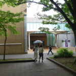 上野の森美術館にて5月27日（火）より『五大浮世絵師展―歌麿 写楽 北斎 広重 国芳』が開催。　上野公園　美術館・博物館　混雑情報他