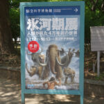 国立科学博物館にて7月12日（土）～『氷河期展』が開催。　上野公園　美術館・博物館　混雑情報他