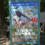 国立科学博物館にて7月11日（土）より『いきもの超ワールド展　国立科学博物館×ダーウィンが来た！』を開催。　上野公園　美術館・博物館　混雑情報他